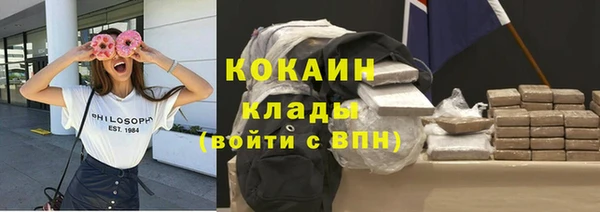 ПСИЛОЦИБИНОВЫЕ ГРИБЫ Магас