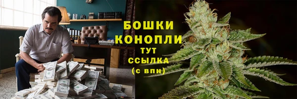 ECSTASY Магадан